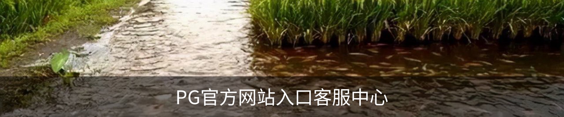 PG官方网站入口客服中心